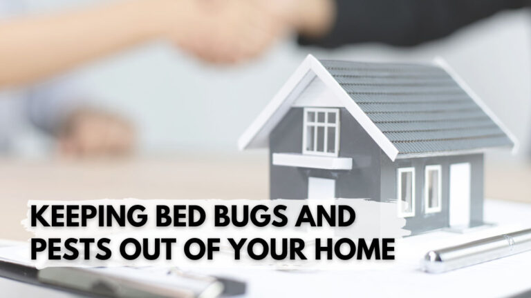 Keeping Bed Bugs And Pests Out Of Your Home