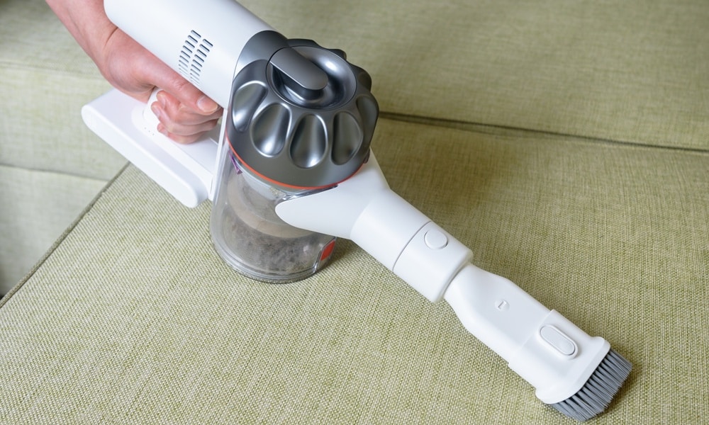 Use A Vacuum To Pick Up Bed Bugs And Eggs.