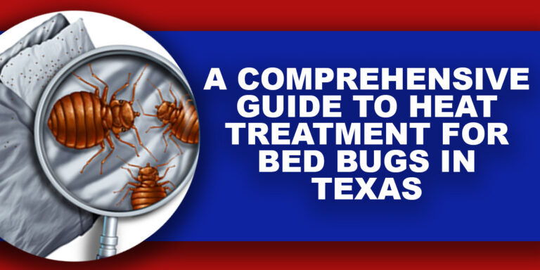 A Comprehensive Guide to Heat Treatment for Bed Bugs in Texas