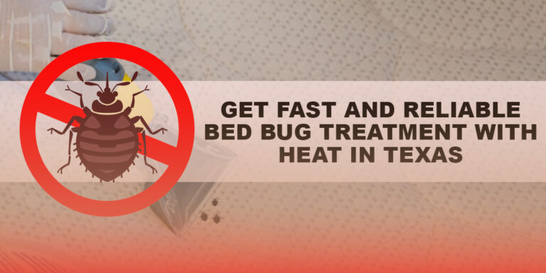 Get Fast and Reliable Bed Bug Treatment with Heat in Texas