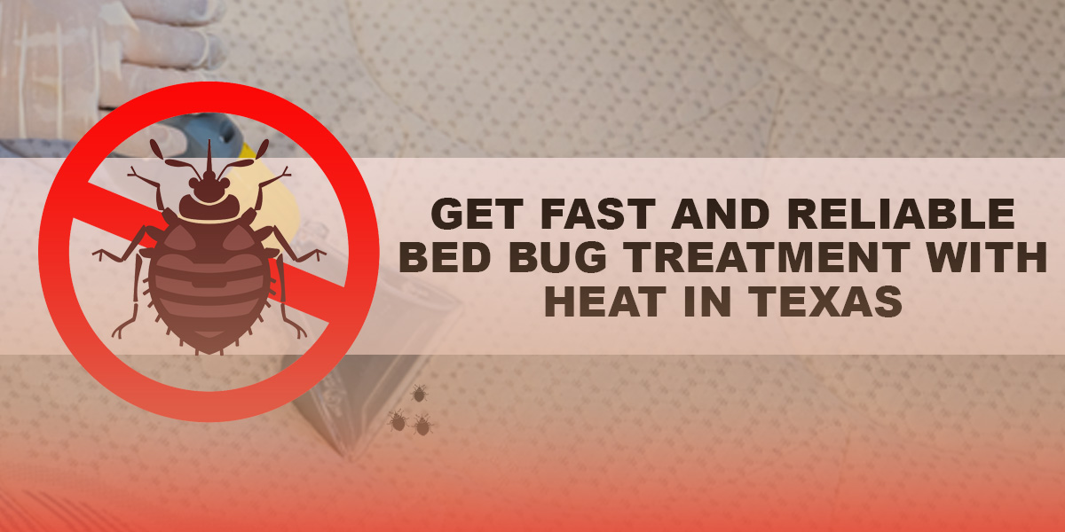 Texas Bed Bug Experts