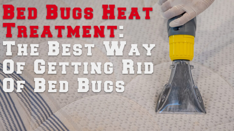 Bed Bugs Heat Treatment: The Best Way Of Getting Rid Of Bed Bugs