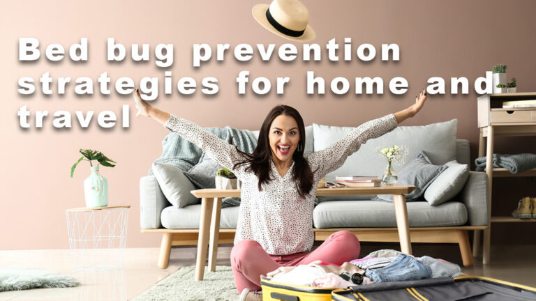 Bed bug prevention strategies for home and travel