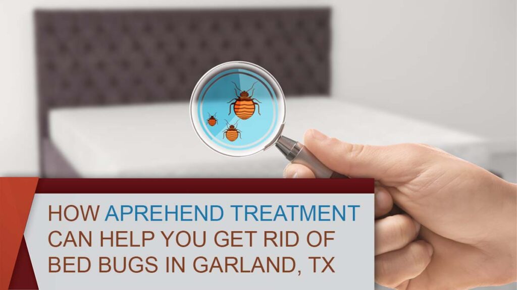 How Aprehend Treatment Can Help You Get Rid Of Bed Bugs In Garland, TX ...