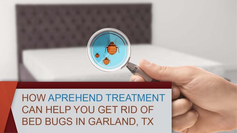 How Aprehend Treatment Can Help You Get Rid of Bed Bugs in Garland, TX