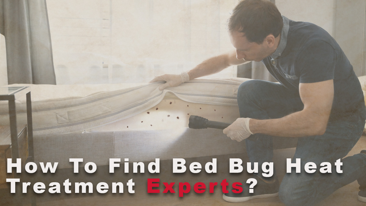 How To Find Bed Bug Heat Treatment Experts