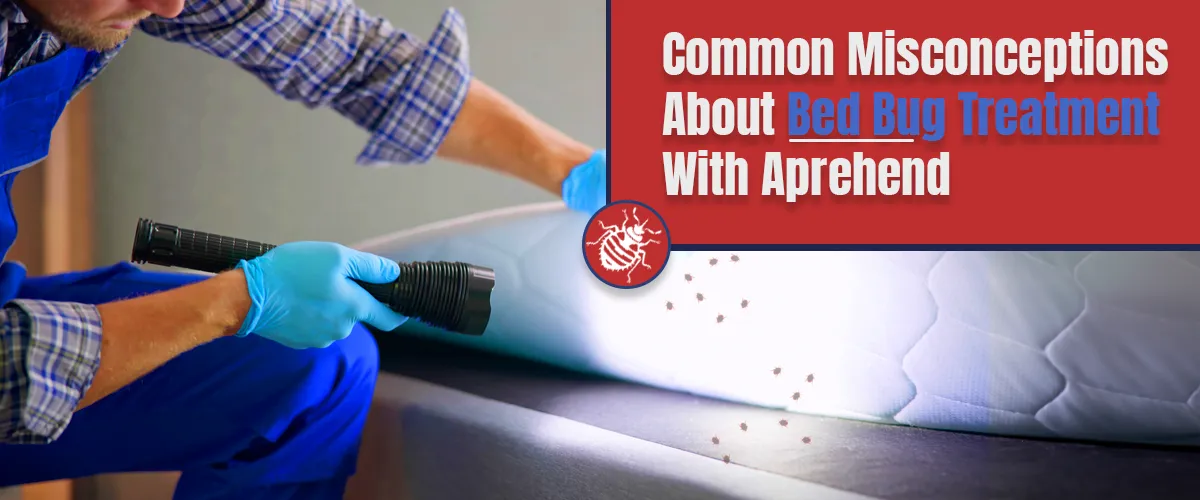 Common Misconceptions About Bed Bug Treatment With Aprehend