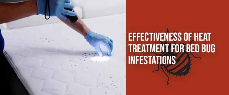 Effectiveness of Heat Treatment for Bed Bug Infestations