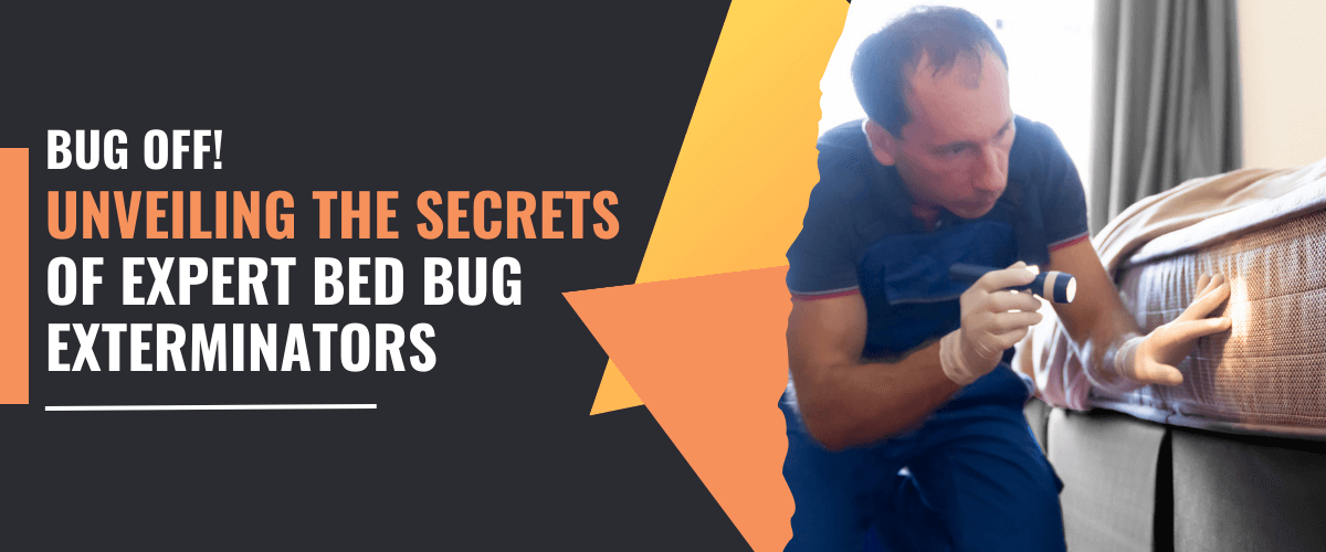 Bug Off! Unveiling the Secrets of Expert Bed Bug Exterminators!