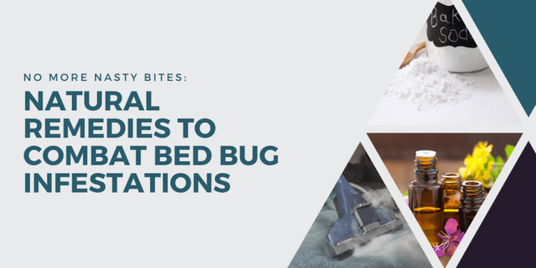 No More Nasty Bites: Natural Remedies to Combat Bed Bug Infestations