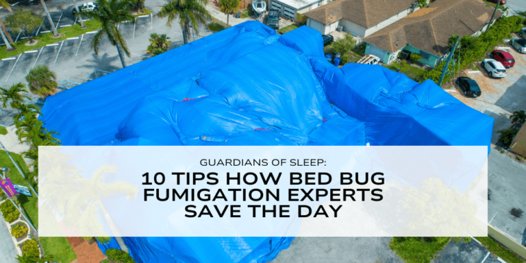 Guardians of Sleep: 10 Tips How Bed Bug Fumigation Experts Save the Day