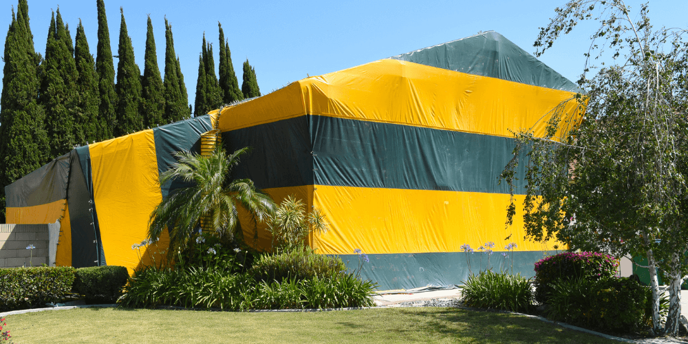Bed Bug Fumigation - Choosing the Right Fumigation Method