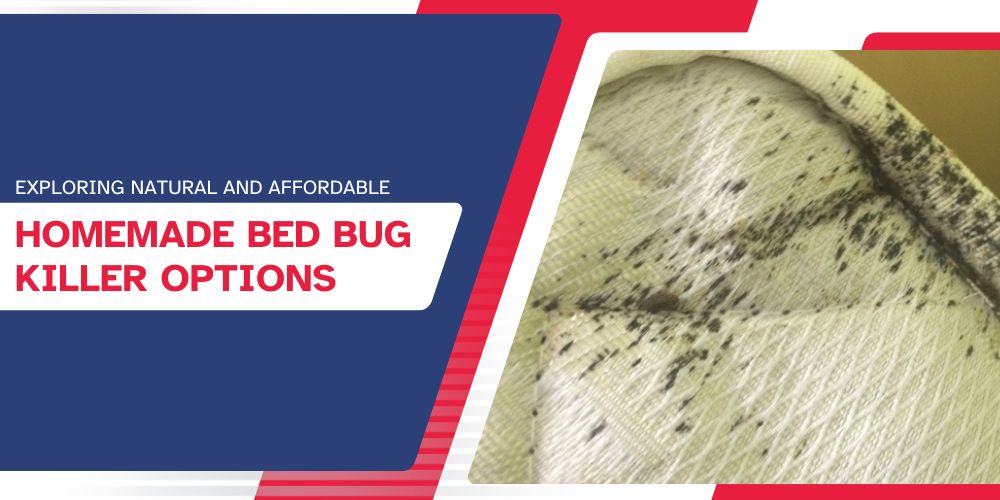 Exploring Natural and Affordable Homemade Bed Bug Killer Options