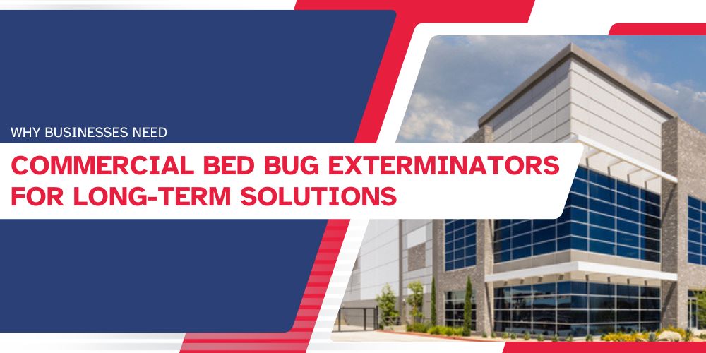 Why Businesses Need Commercial Bed Bug Exterminators for Long-Term Solutions