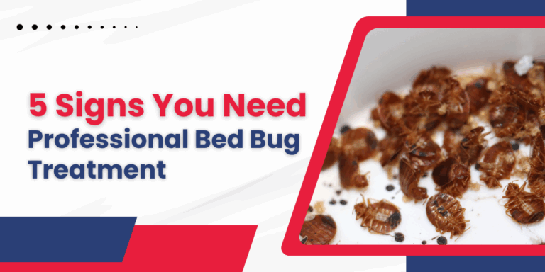 5 Signs You Need Professional Bed Bug Treatment