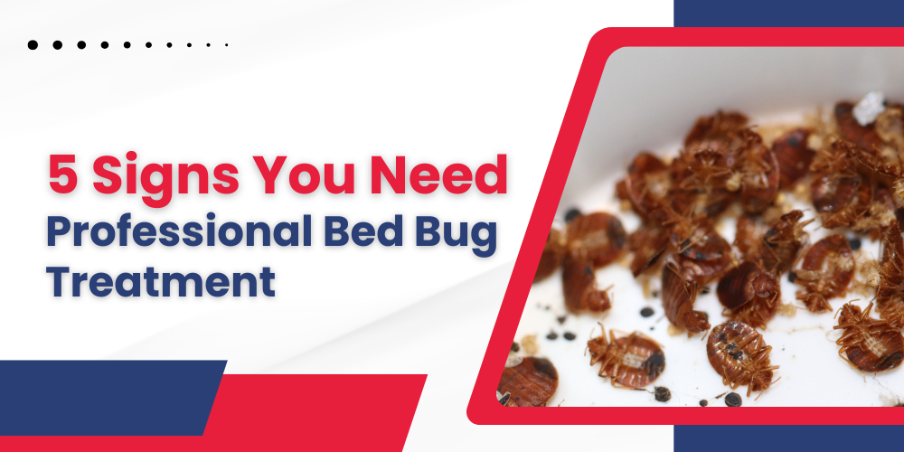 5 Signs You Need Professional Bed Bug Treatment