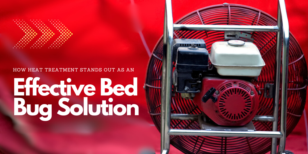 How Heat Treatment Stands Out as an Effective Bed Bug Solution