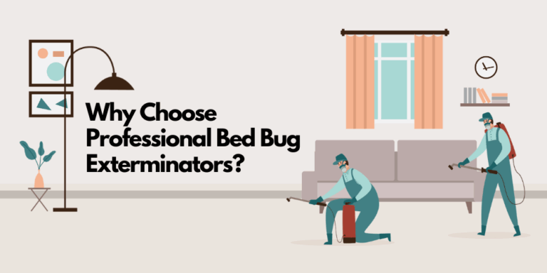 Why Choose Professional Bed Bug Exterminators - Featured image